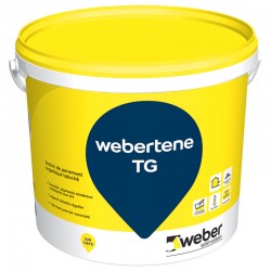 Weber Tene TG