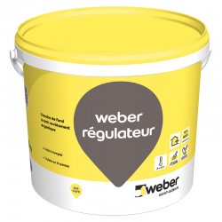 Weber Régulateur
