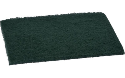 Tampon récurant vert