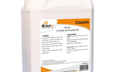 Nettoyant sols carrelés Cladolin