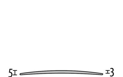 464 – Seuils de raccordement percé 60 mm