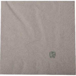 Serviette 2 plis BIO ECO