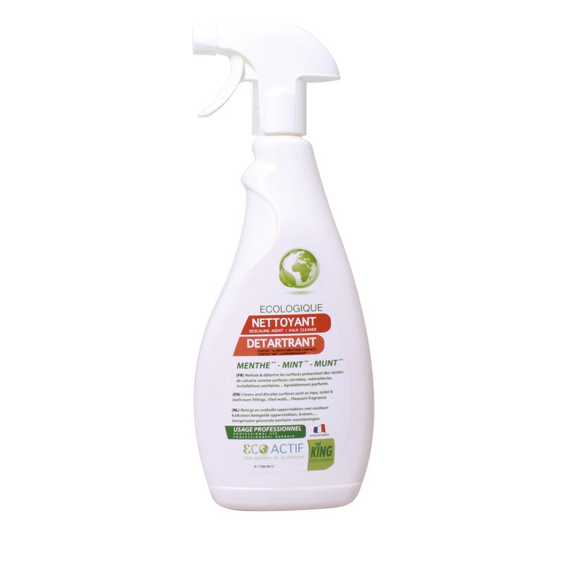Nettoyant Détartrant King – Image 2