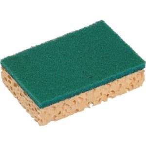 Tampon vert sur éponge Basic