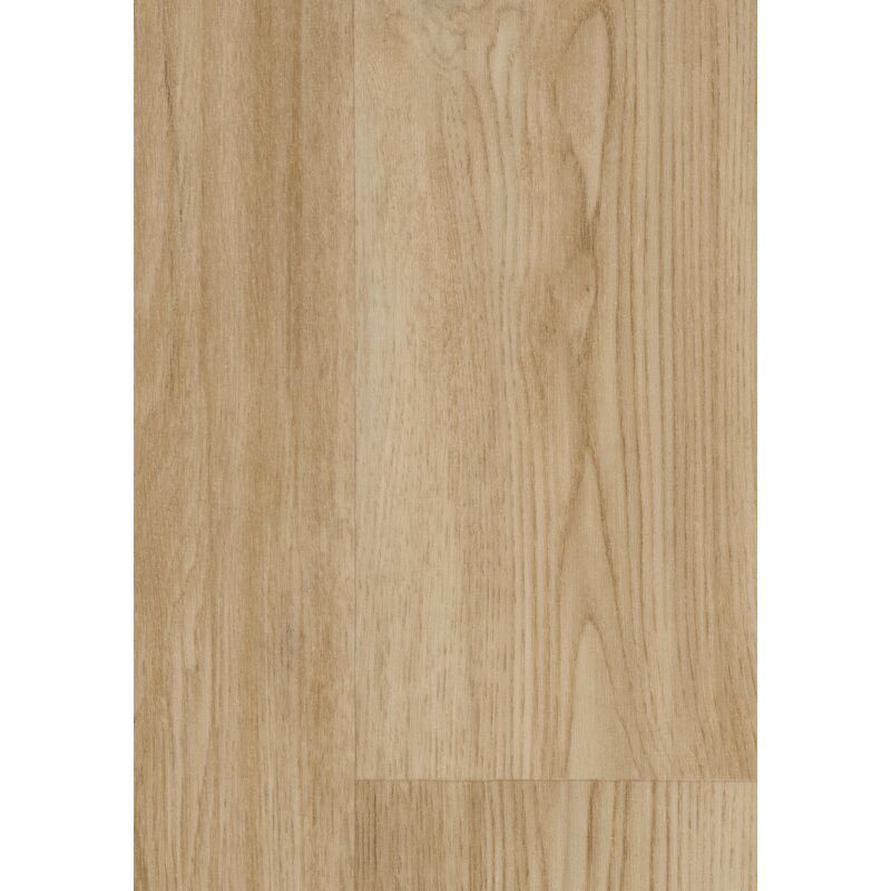 Modul'up Habitat 2S3 – Image 31